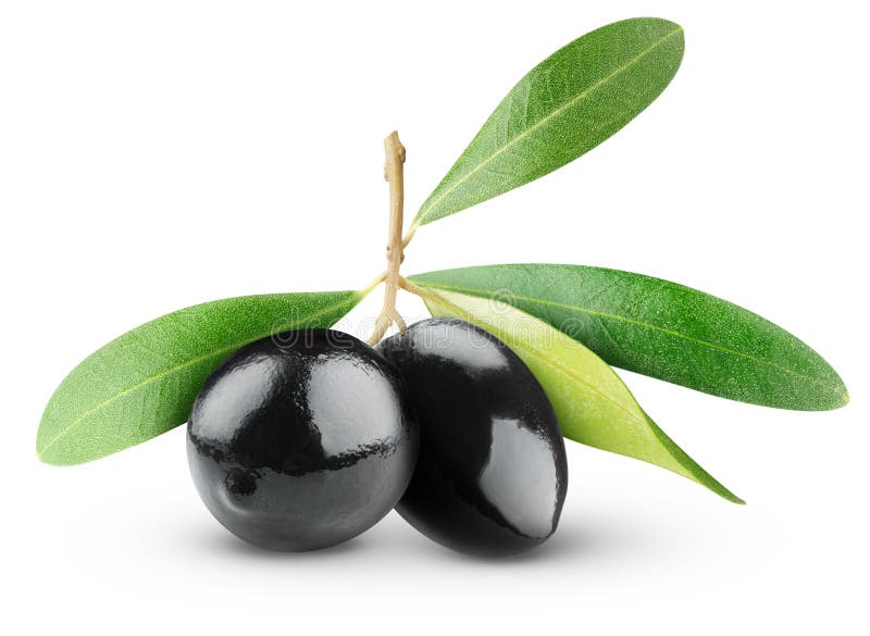 Black olives stock photo. Image of macro, white, organic 19783330