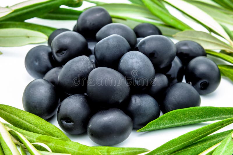 Black olives stock image. Image of fruit, plant, ripe 26977305