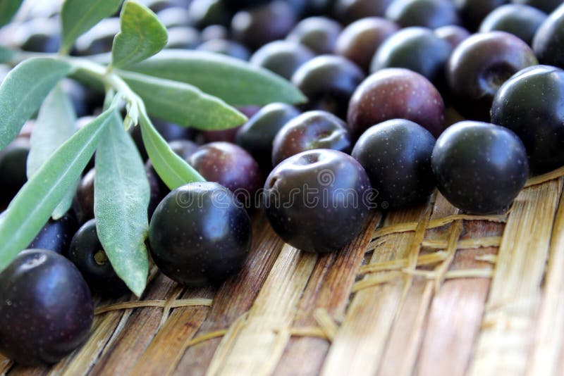 Black Olives 5 stock image. Image of grown, ingredient 64663983