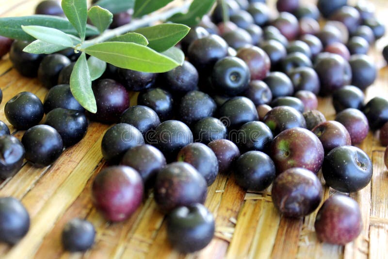 Black Olives 8 stock image. Image of eating, homemade 64664363
