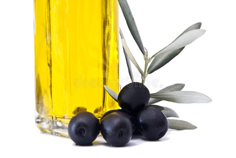 Black olives and oil stock image. Image of nature, branch 21798659