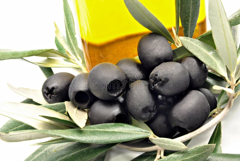 Black Olives with Oil Bottle Stock Photo Image of natural, spain 23492922