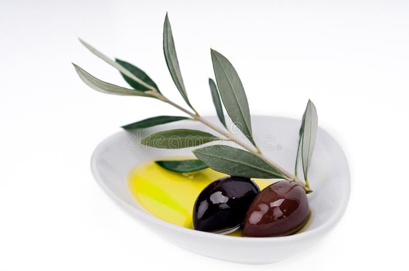 Black olives and olive oil stock photo. Image of plant 19920282