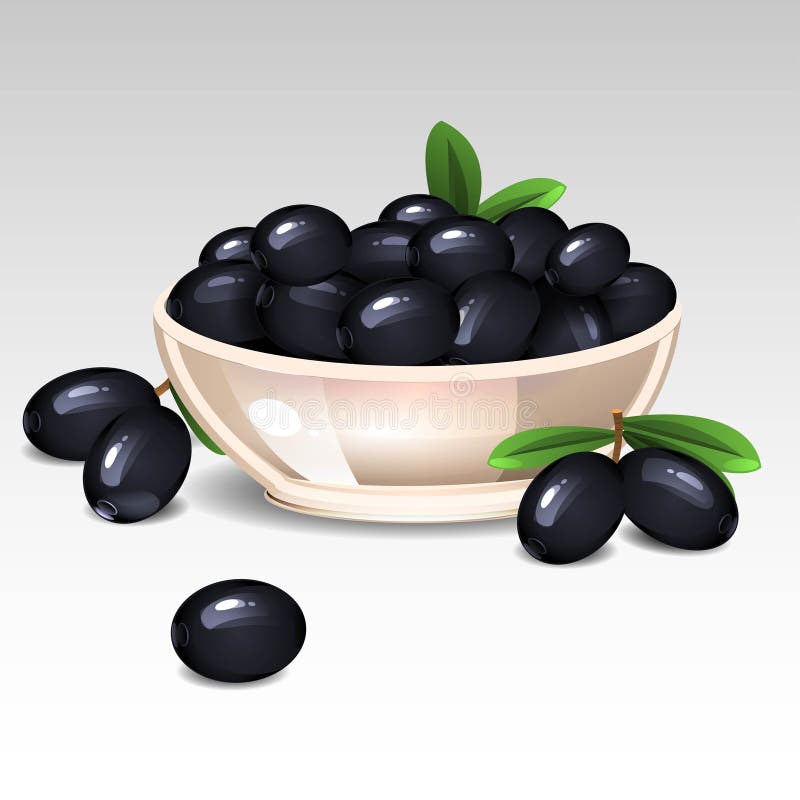 Black Olives on Branch with Leaves Stock Illustration Illustration of