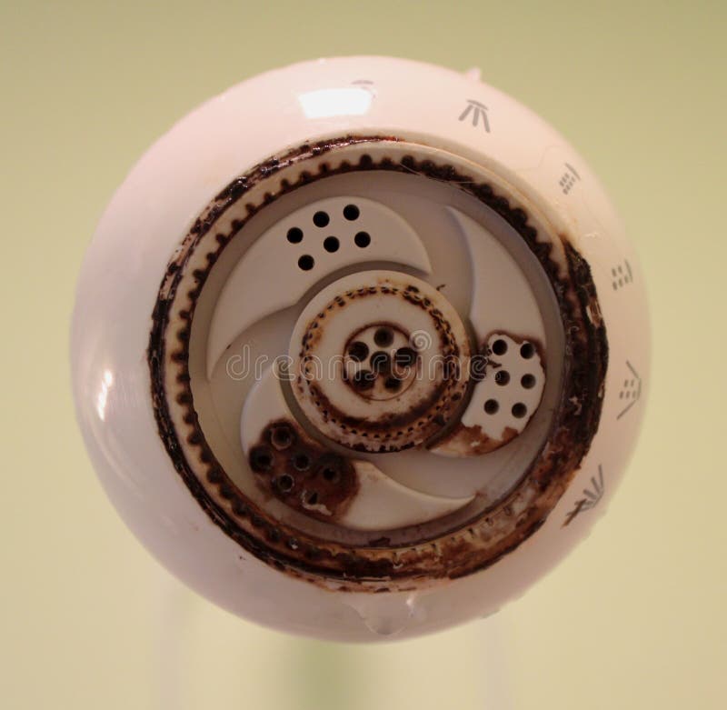 1,597 Mildew Orange Stock Photos Free & RoyaltyFree Stock Photos