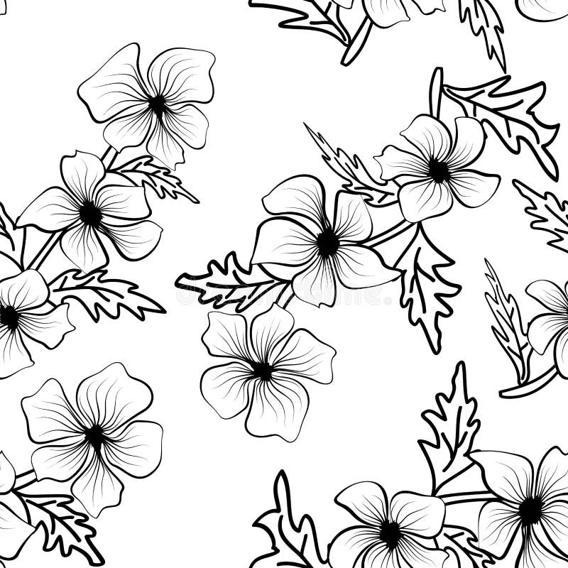Black Outlines Of Flowers On White Background Floral Texture Repeat