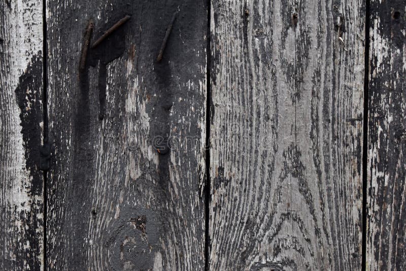 Black Peeling Paint on a Grey Wood Door Stock Image Image of grain