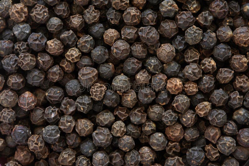 Black pepper stock image. Image of peppercorn, close 31797933