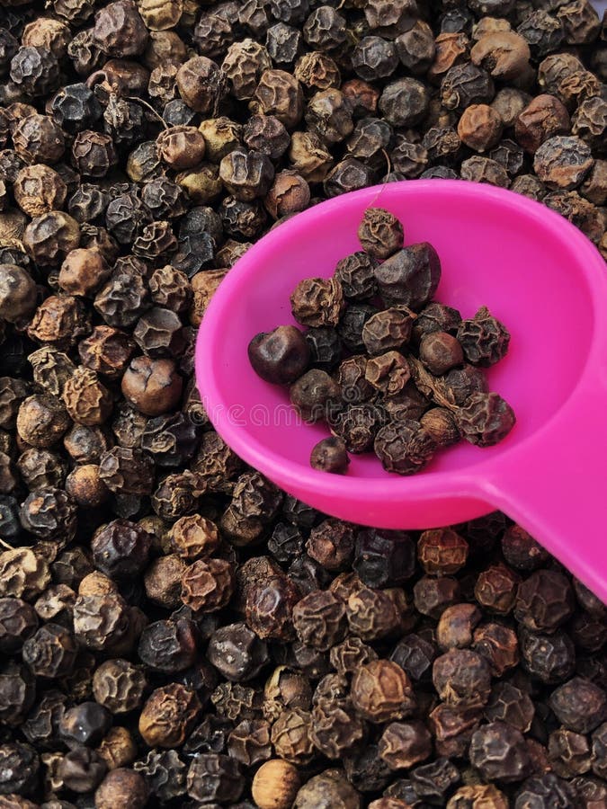 Black Pepper in a Plastic Spoon Stock Photo Image of essential