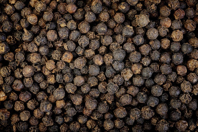 Black Pepper Seed on Background Stock Image Image of agriculture