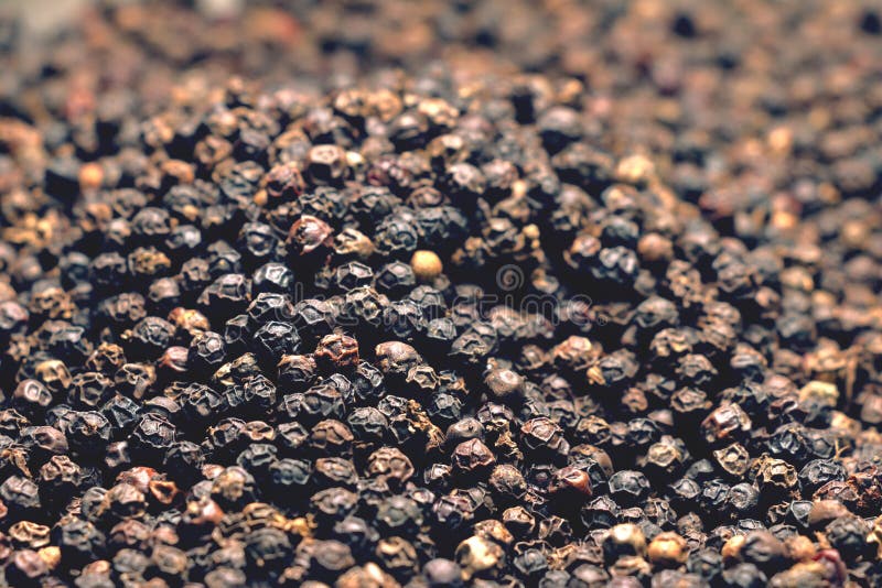 Black pepper seeds stock image. Image of indian, bowl 15532363