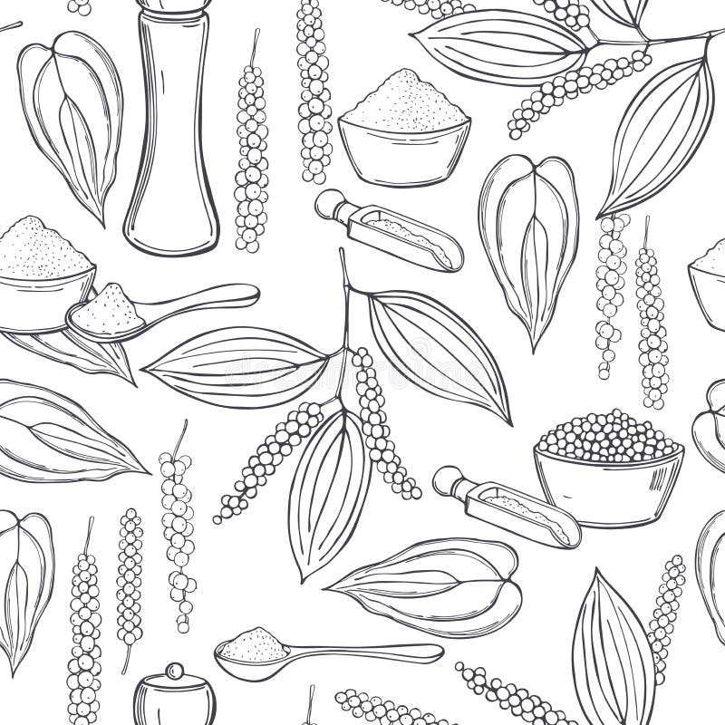 Hand Draw Black Pepper. Vector Sketch Illustration Stock Vector