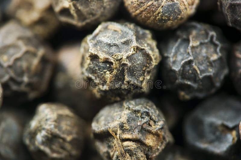 Black Peppercorns royalty free stock images