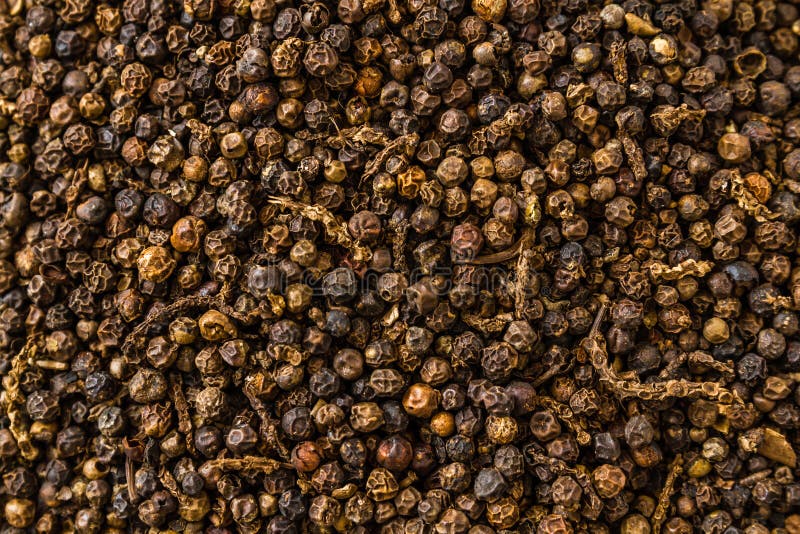 Black Peppercorns stock photo. Image of condiment, healthy 48032258