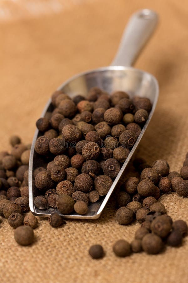 Peppercorns on Burlap stock image. Image of seasoning 29724795