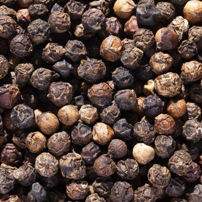 Black Peppercorns, Top View Stock Photo Image of technology