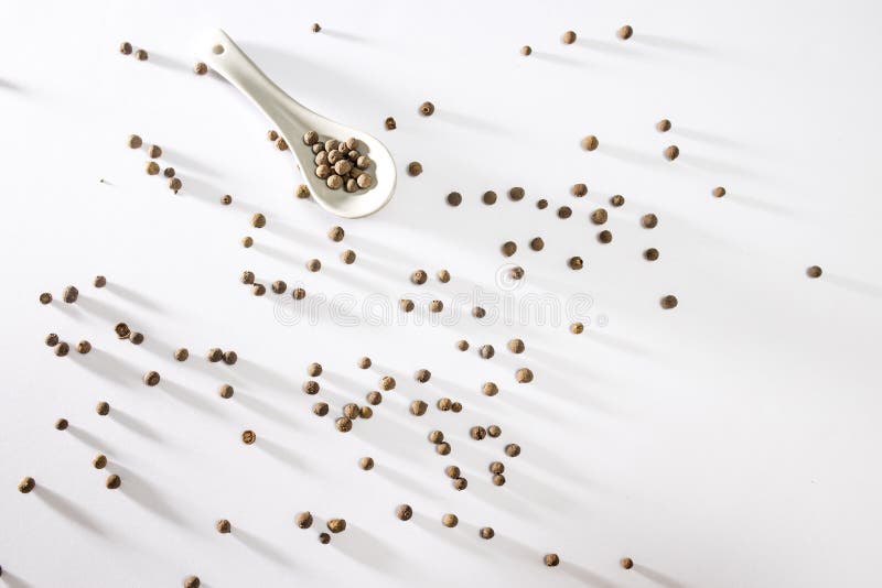 Black Peppercorns on White with Long Shadows. Black Peppercorns in a