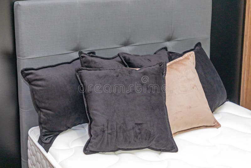 Black Pillows on on Black and White Bed with Plant Stock Photo Image