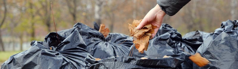 Autumn Leaves Waste Bag Dispenser