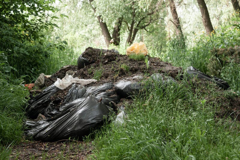 Black Plastic Bags with Garbage and Dump on Green Grass Near Trees in