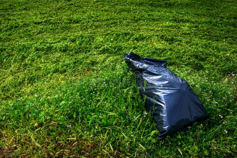 Black plastic garbage bag on freshly mowed green grass ground stock images