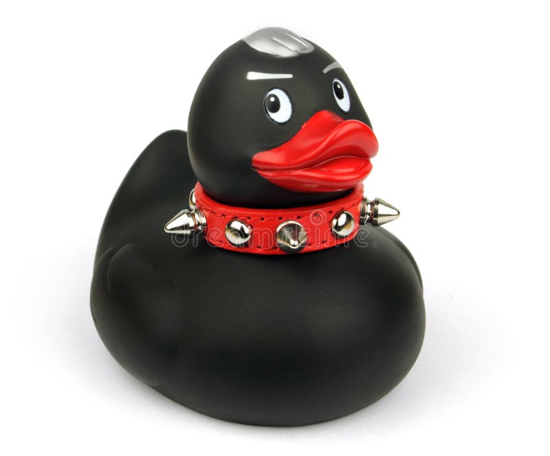 Black Plastic Toy Duck