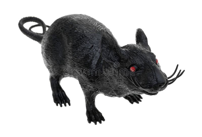 Black Plastic Toy Rat on a White Background Stock Photo Image of tail