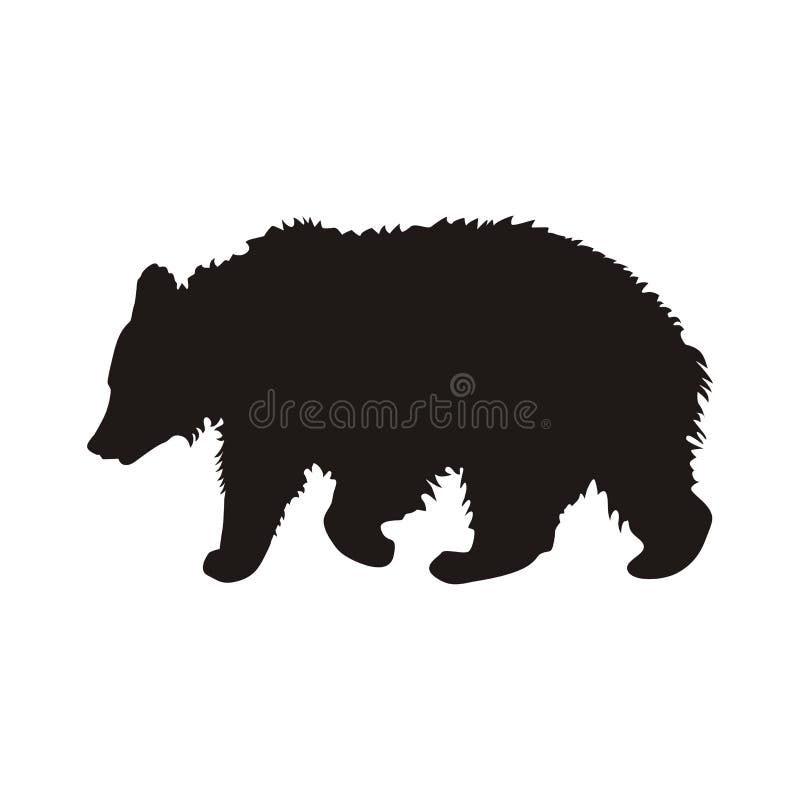 Adult Shaggy Red Fox Standing In The Grass. Stock Illustration