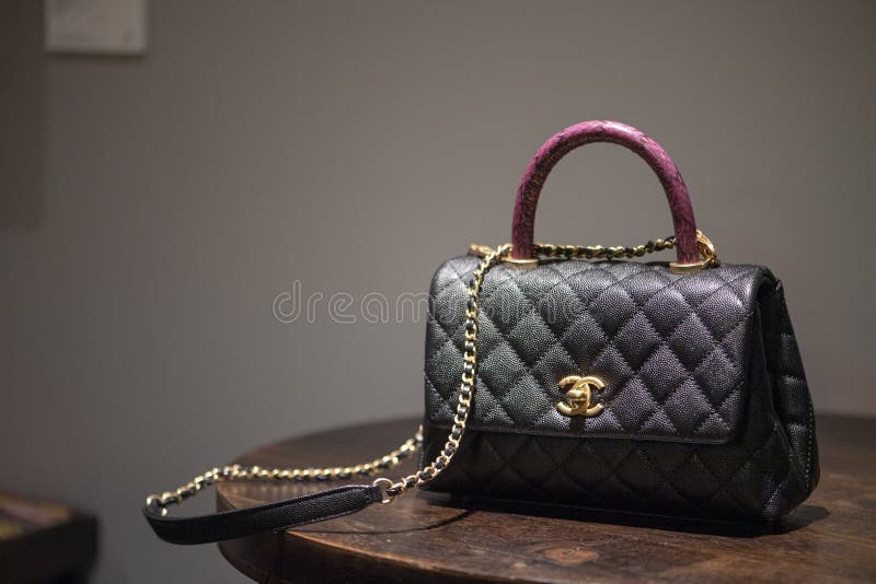 Authentic Black Chanel Bag with Pink Python Handle Editorial Stock Image -  Image of macro, elegance: 157125304