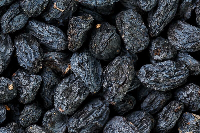 Black Raisin Texture, Popular Dried Fruit. Dried Grapes Stock Photo Image of dankh, nutrition