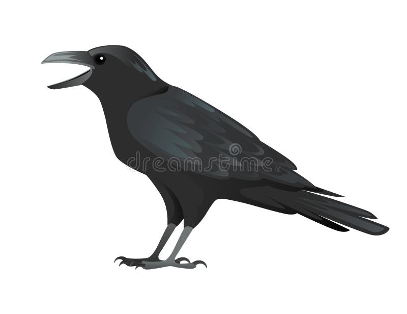 Black Raven Bird Cartoon Crow Design Flat Vector Animal Illustration Isolated on White Background Stock Vector - Illustration of aves, icon: 177972883 Black Raven Bird Cartoon Crow Design Flat Vector Animal Illustration Isolated on White Background Stock Vector - Illustration of aves, icon: 177972883