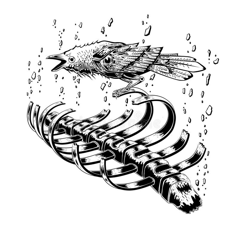 Black Raven Bird Stay on Rib Skeleton. Crow Bird. Broken Stone Floating on Sky. Anatomy Art. Tattoo Design. Stock Vector - Illustration of animal, scary: 117183100 Black Raven Bird Stay on Rib Skeleton. Crow Bird. Broken Stone Floating on Sky. Anatomy Art. Tattoo Design. Stock Vector - Illustration of animal, scary: 117183100