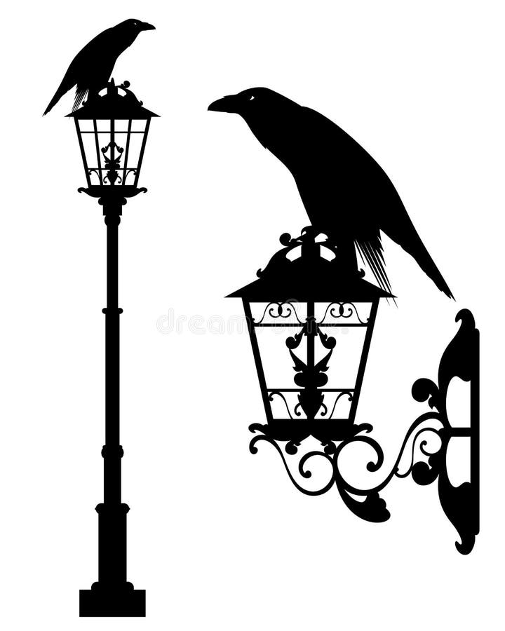 Black raven on street light vector design