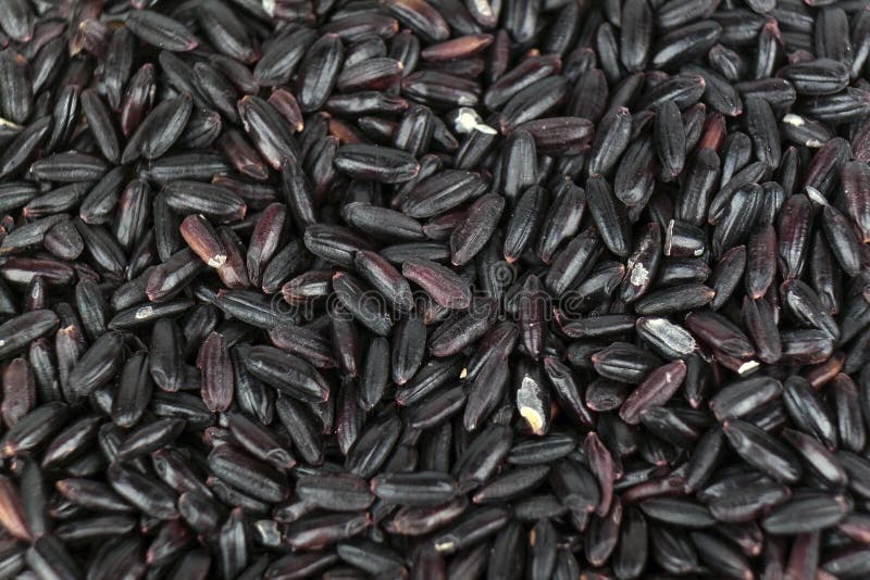 Black rice grains, close macro view stock photos