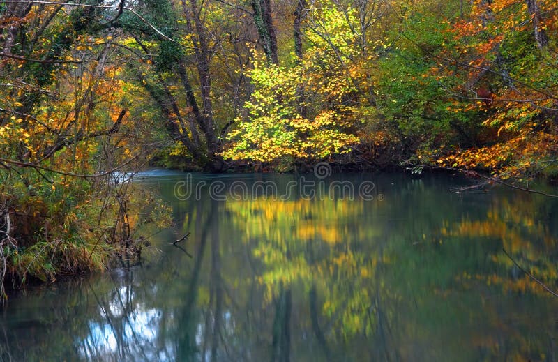 Black River Fall stock photo. Image of rock, sprout, swollen 4751682