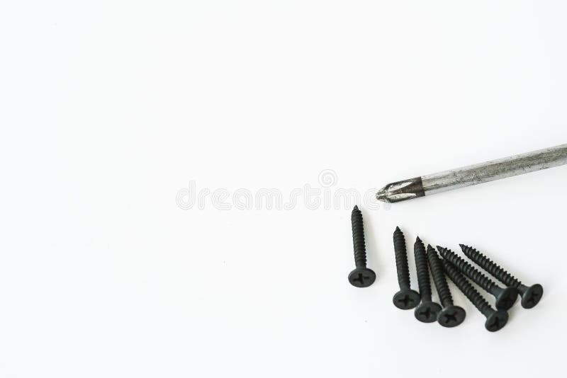 Black Screws of Selftapping Screws of Same Sizes with the Head of