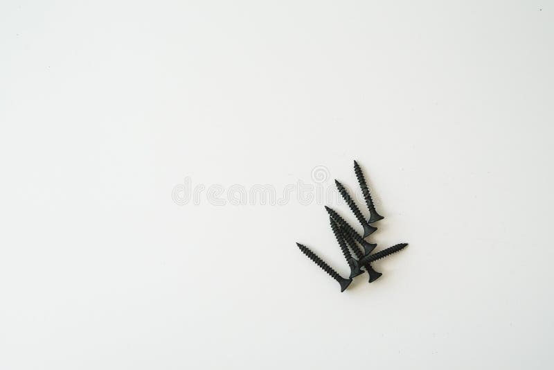 Black screws of self-tapping screws of same sizes isolated on white background