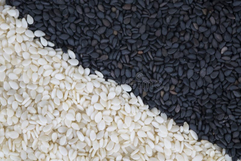 Black Sesame and White Sesame Stock Image Image of plant, asia 67817329