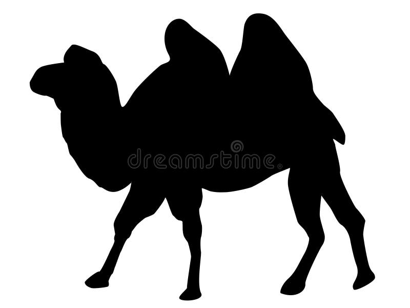 Black Silhouette of a Camel. Stock Illustration - Illustration of ...