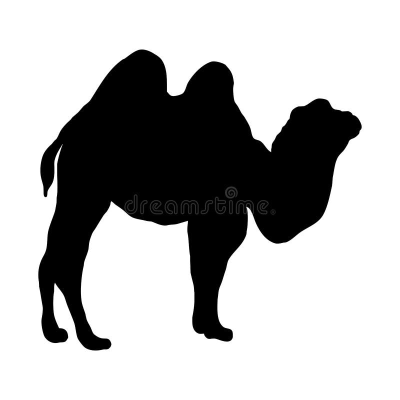 Black Silhouette of a Camel on a White Background. Stock Vector ...