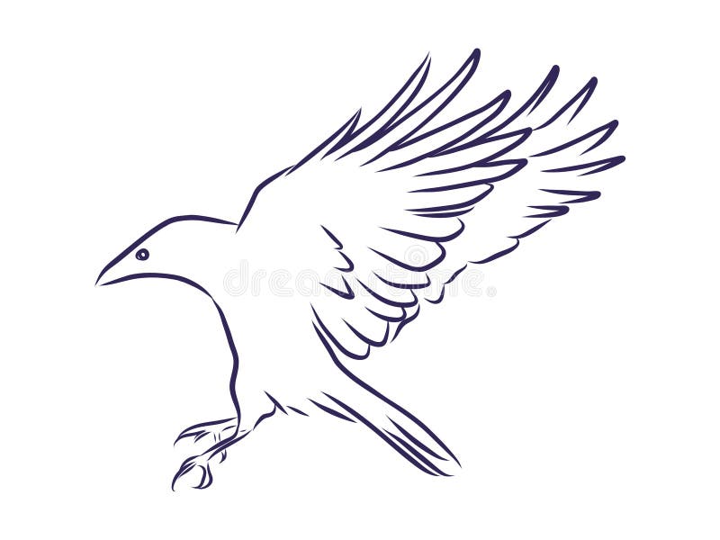 Featured image of post How To Draw A Flying Crow Easy The closer you are to the joint you can also add skin texture to the wings