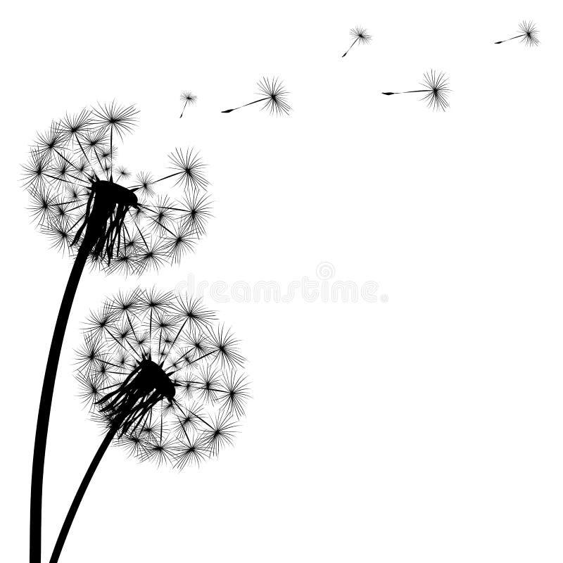 Black silhouette of a dandelion on a white background