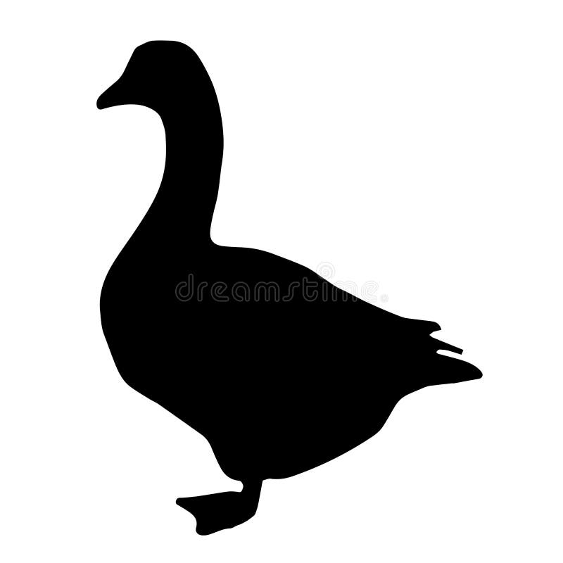 Black Silhouette Goose Vector Stock Vector Illustration of white