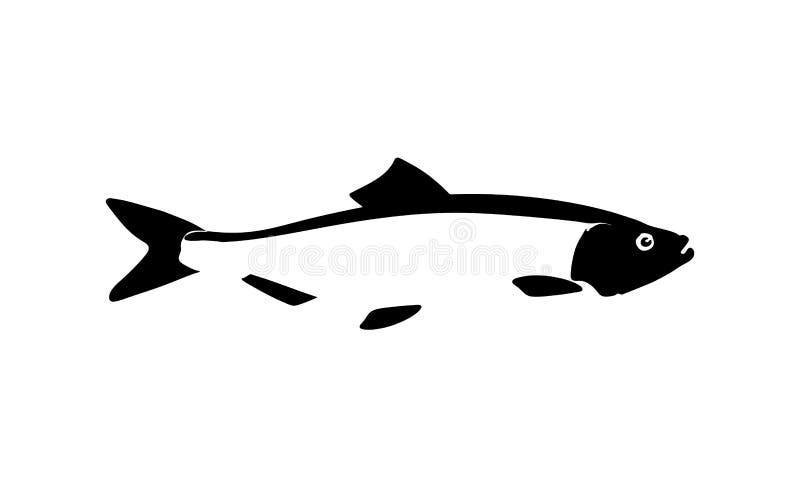 Shad Stock Illustrations – 556 Shad Stock Illustrations, Vectors & Clipart  - Dreamstime