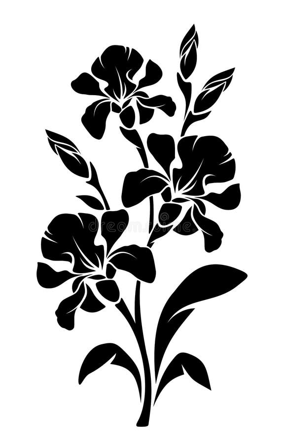 Black Silhouette Of Iris Flowers. Vector Illustration. Stock Vector