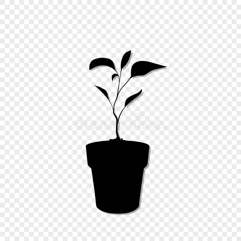 Featured image of post Silhouette Potted Plant Vector Free for commercial use no attribution required high quality images