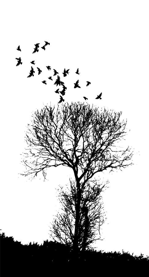 Black Silhouette of a Tree without Leaves with Flying Birds . Vector ...