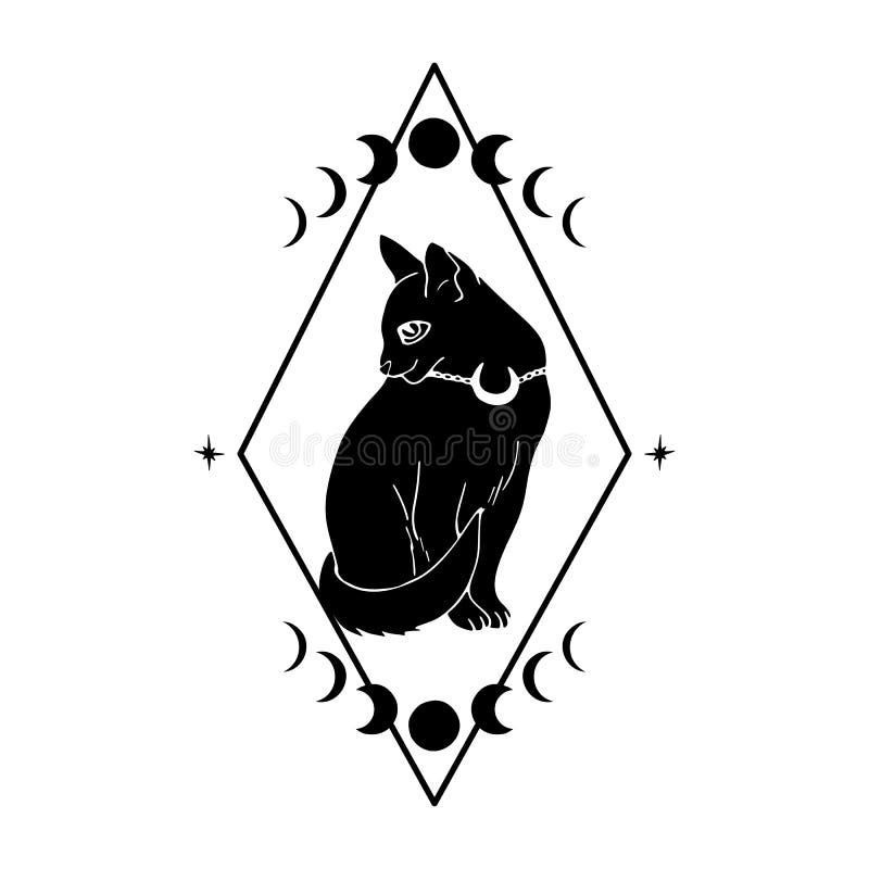 Black cat icon and moon phase' Sticker