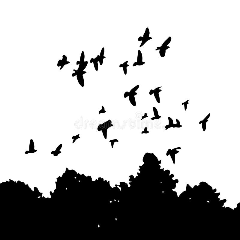 Black silhouettes of a flock of doves (Columba livia) flying over the trees.