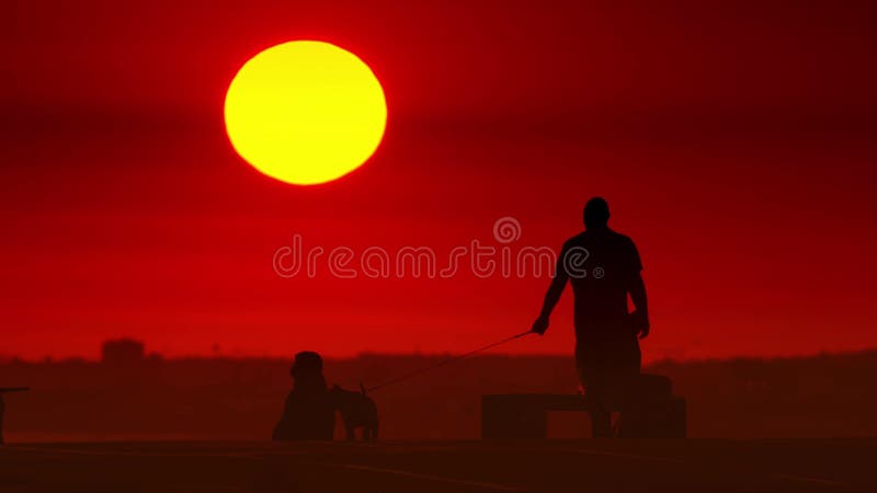 Black silhouettes of people spending time on the hill and walking out their pets at bright red sunset